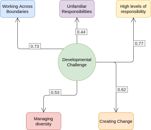 Figure 26: Types of leadership challenges